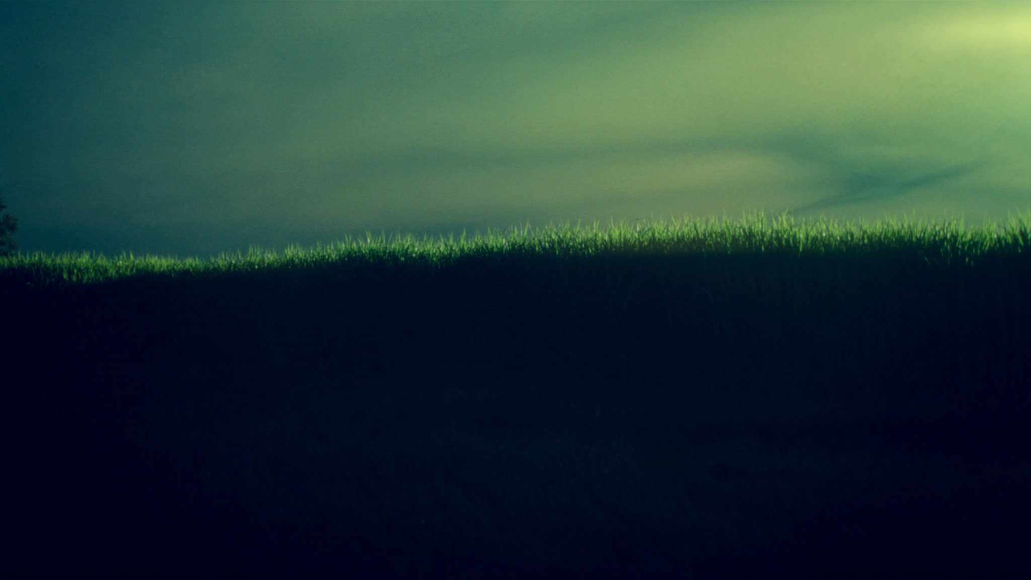 Illustration of a sugarcane field at dusk